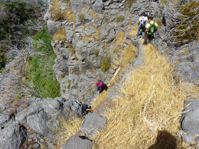 19 July 2015 Escadinhas do Menino Jesus — Descent to the Madre of the Levada da Serra da Alegria inf. — photo 5