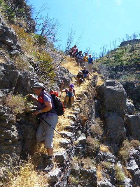 19 July 2015 Escadinhas do Menino Jesus — Descent to the Madre of the Levada da Serra da Alegria inf. — photo 6