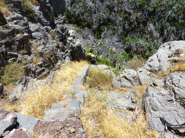 19 July 2015 Escadinhas do Menino Jesus — Descent to the Madre of the Levada da Serra da Alegria inf. — photo 7