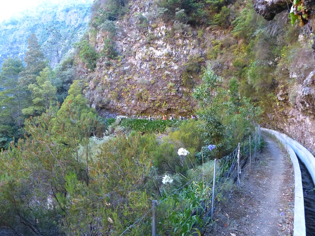 19 July 2015 Escadinhas do Menino Jesus — From Corujeira to the Centro Tematico da Agua — photo 14