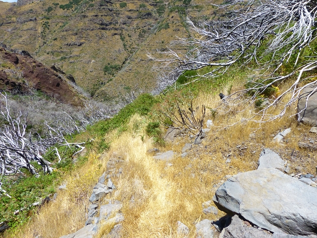 19 July 2015 Escadinhas do Menino Jesus — Descent to the Madre of the Levada da Serra da Alegria inf. — photo 8