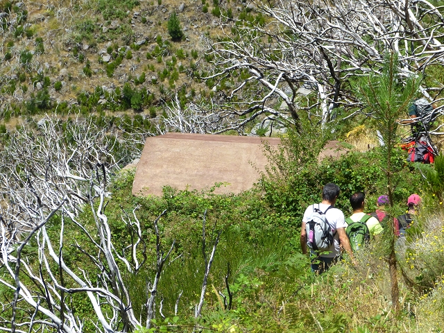 19 July 2015 Escadinhas do Menino Jesus — Descent to the Madre of the Levada da Serra da Alegria inf. — photo 10