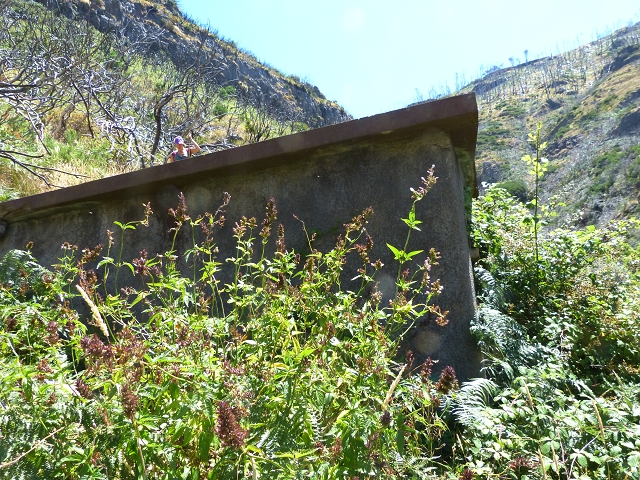 19 July 2015 Escadinhas do Menino Jesus — Descent to the Madre of the Levada da Serra da Alegria inf. — photo 12