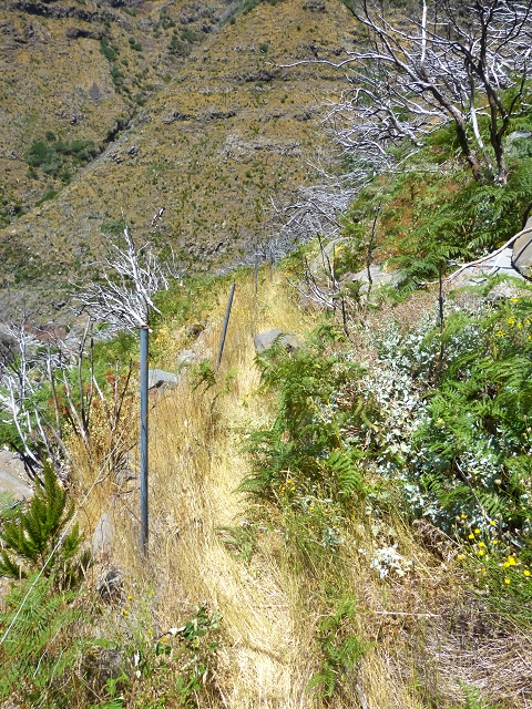 19 July 2015 Escadinhas do Menino Jesus — Descent to the Madre of the Levada da Serra da Alegria inf. — photo 13
