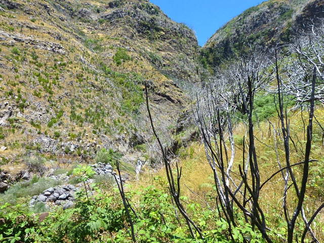 19 July 2015 Escadinhas do Menino Jesus — Descent to the Madre of the Levada da Serra da Alegria inf. — photo 17