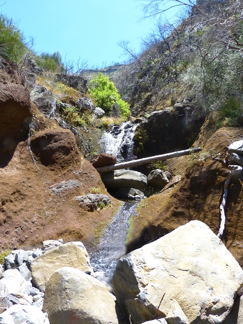 19 July 2015 Escadinhas do Menino Jesus — Descent to the Madre of the Levada da Serra da Alegria inf. — photo 18