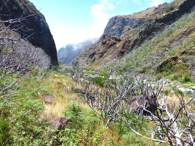 19 July 2015 Escadinhas do Menino Jesus — Descent to the Madre of the Levada da Serra da Alegria inf. — photo 19