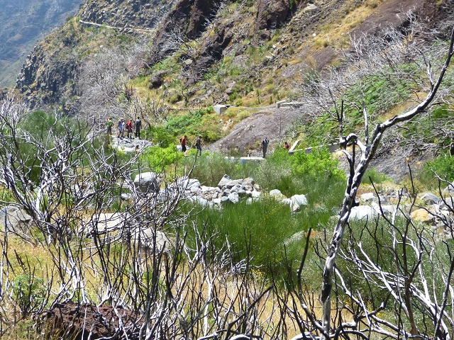 19 July 2015 Escadinhas do Menino Jesus — Descent to the Madre of the Levada da Serra da Alegria inf. — photo 20