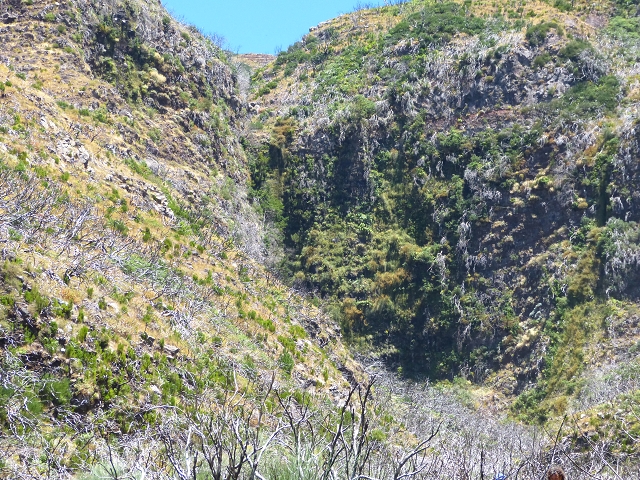 19 July 2015 Escadinhas do Menino Jesus — Descent to the Madre of the Levada da Serra da Alegria inf. — photo 21