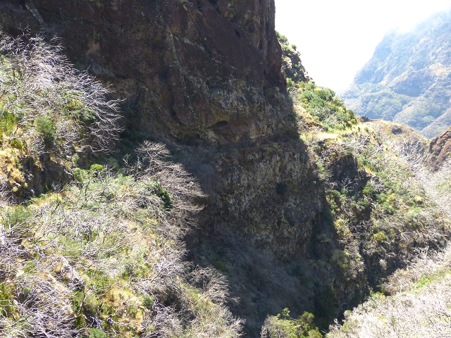 19 July 2015 Escadinhas do Menino Jesus — On the Levada da Serra da Alegria inf. — photo 3