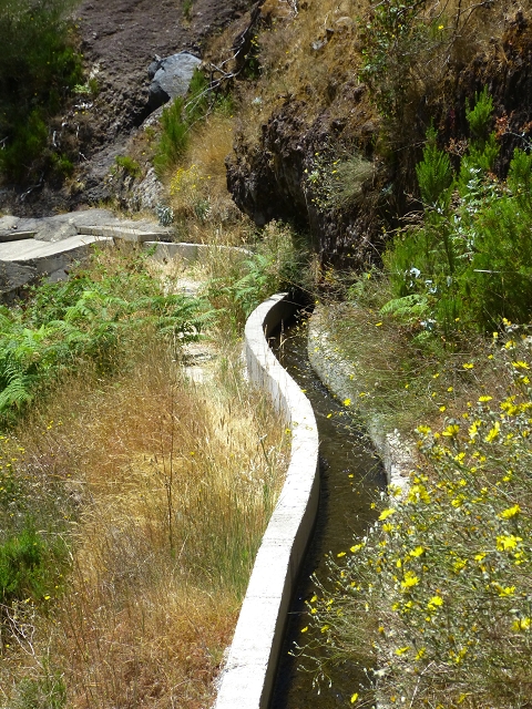 19 July 2015 Escadinhas do Menino Jesus — On the Levada da Serra da Alegria inf. — photo 7