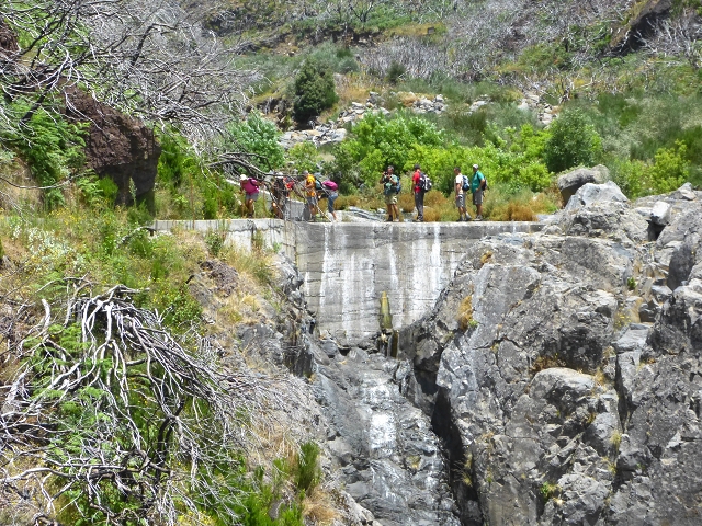 19 July 2015 Escadinhas do Menino Jesus — On the Levada da Serra da Alegria inf. — photo 9