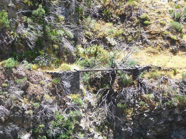 19 July 2015 Escadinhas do Menino Jesus — On the Levada da Serra da Alegria inf. — photo 11