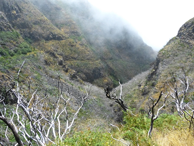19 July 2015 Escadinhas do Menino Jesus — On the Levada da Serra da Alegria inf. — photo 12