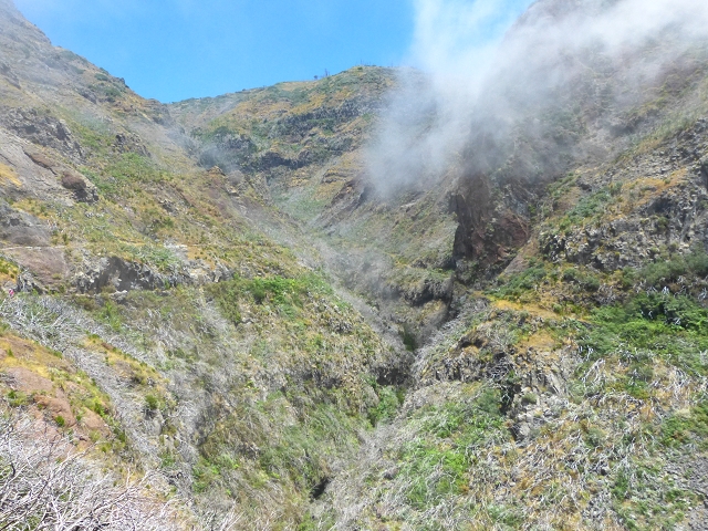 19 July 2015 Escadinhas do Menino Jesus — On the Levada da Serra da Alegria inf. — photo 14
