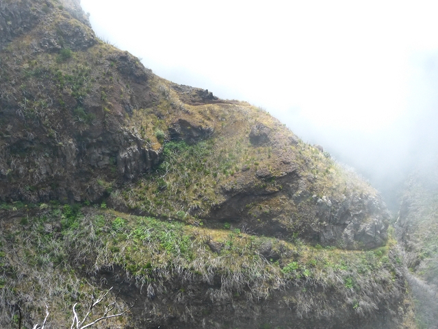 19 July 2015 Escadinhas do Menino Jesus — On the Levada da Serra da Alegria inf. — photo 15