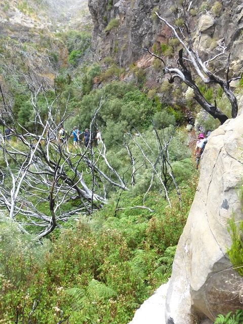 19 July 2015 Escadinhas do Menino Jesus — On the Levada da Serra da Alegria inf. — photo 16