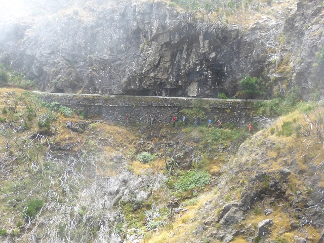 19 July 2015 Escadinhas do Menino Jesus — On the Levada da Serra da Alegria inf. — photo 17