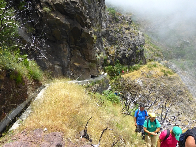 19 July 2015 Escadinhas do Menino Jesus — On the Levada da Serra da Alegria inf. — photo 20