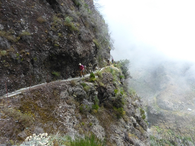 19 July 2015 Escadinhas do Menino Jesus — On the Levada da Serra da Alegria inf. — photo 22