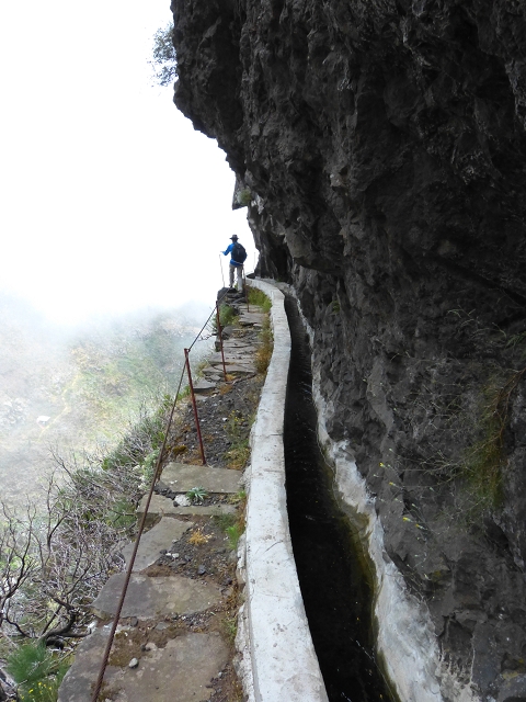 19 July 2015 Escadinhas do Menino Jesus — On the Levada da Serra da Alegria inf. — photo 23