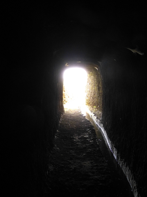 19 July 2015 Escadinhas do Menino Jesus — On the Levada da Serra da Alegria inf. — photo 26