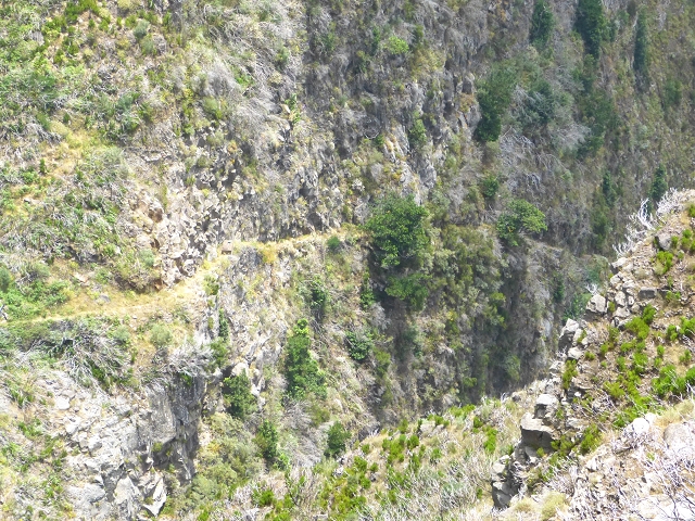 19 July 2015 Escadinhas do Menino Jesus — On the Levada da Serra da Alegria inf. — photo 27