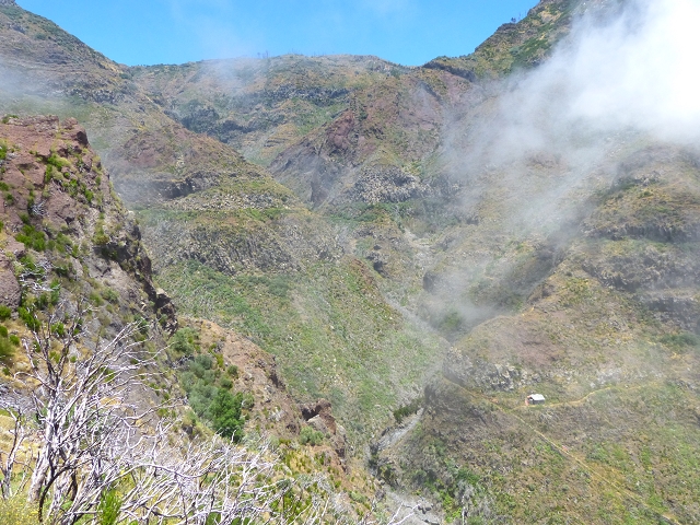 19 July 2015 Escadinhas do Menino Jesus — On the Levada da Serra da Alegria inf. — photo 28