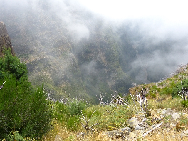 19 July 2015 Escadinhas do Menino Jesus — On the Levada da Serra da Alegria inf. — photo 31