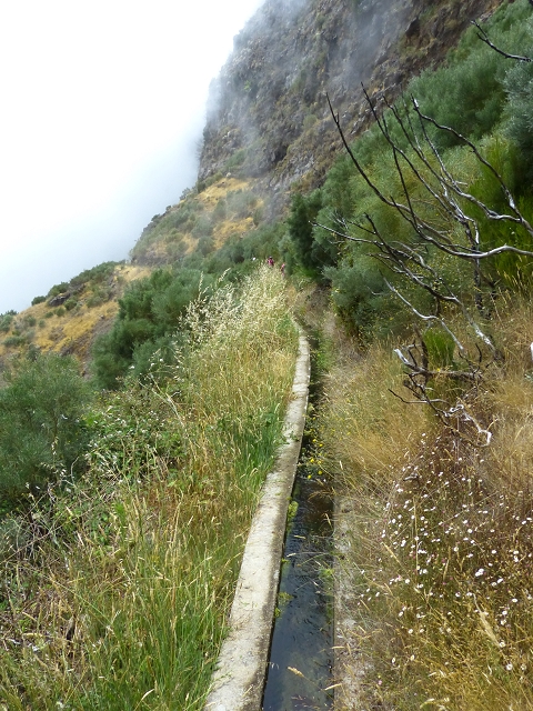 19 July 2015 Escadinhas do Menino Jesus — On the Levada da Serra da Alegria inf. — photo 33