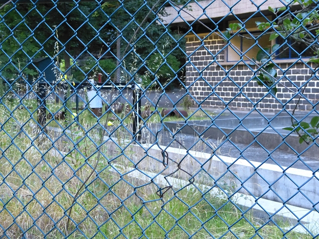 19 July 2015 Escadinhas do Menino Jesus — From Corujeira to the Centro Tematico da Agua — photo 19