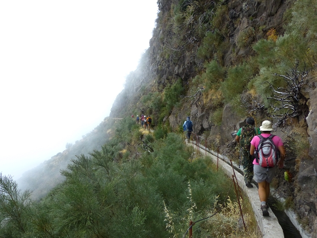 19 July 2015 Escadinhas do Menino Jesus — On the Levada da Serra da Alegria inf. — photo 35