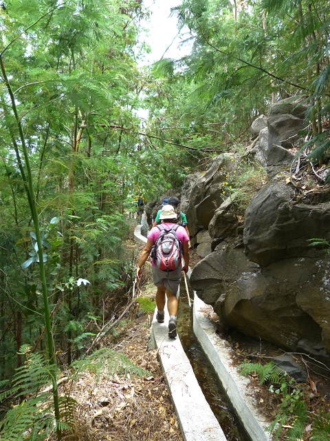 19 July 2015 Escadinhas do Menino Jesus — On the Levada da Serra da Alegria inf. — photo 39