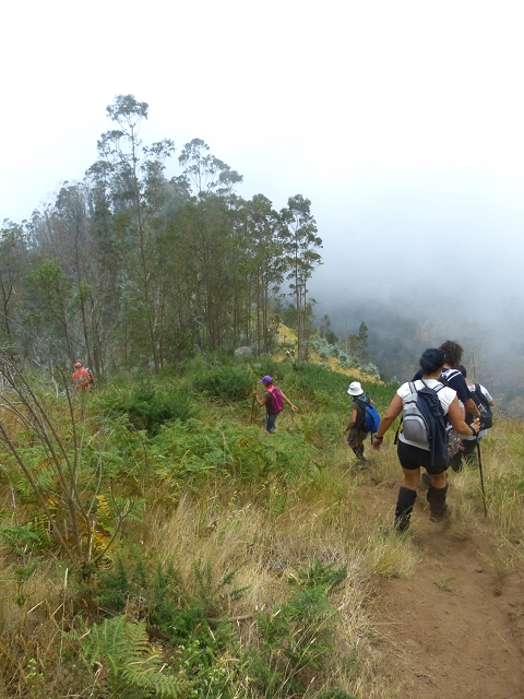 19 July 2015 Escadinhas do Menino Jesus — Descent on the Lombo de Joao Boieiro. — photo 2