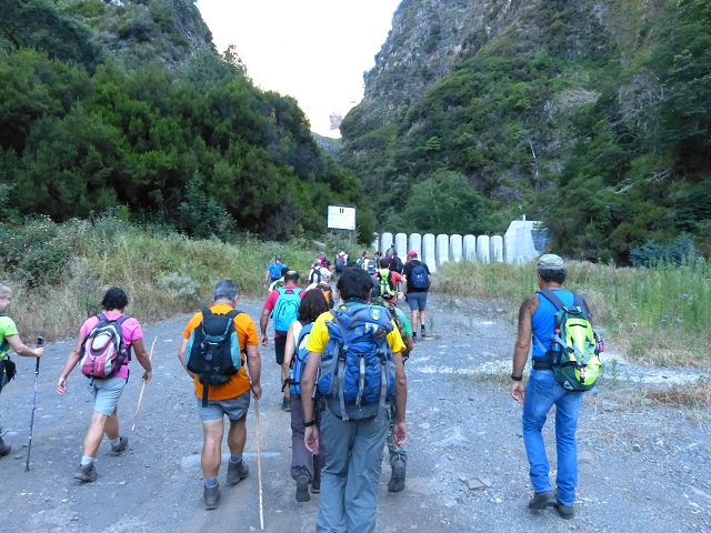 19 July 2015 Escadinhas do Menino Jesus — On in the stream bed of the Ribeira de Santa Luzia — photo 3