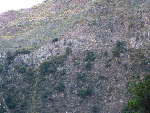 19 July 2015 Escadinhas do Menino Jesus — On in the stream bed of the Ribeira de Santa Luzia — photo 10