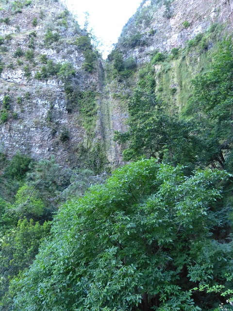 19 July 2015 Escadinhas do Menino Jesus — From Corujeira to the Centro Tematico da Agua — photo 3