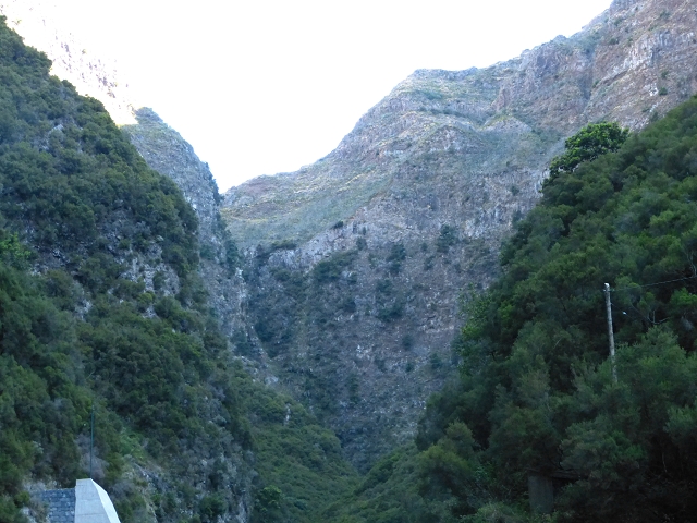 19 July 2015 Escadinhas do Menino Jesus — On in the stream bed of the Ribeira de Santa Luzia — photo 11