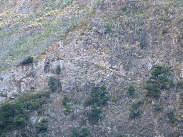 19 July 2015 Escadinhas do Menino Jesus — On in the stream bed of the Ribeira de Santa Luzia — photo 13
