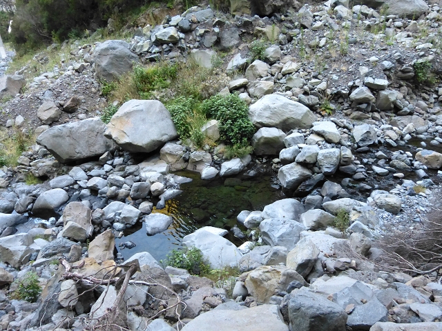 19 July 2015 Escadinhas do Menino Jesus — On in the stream bed of the Ribeira de Santa Luzia — photo 17