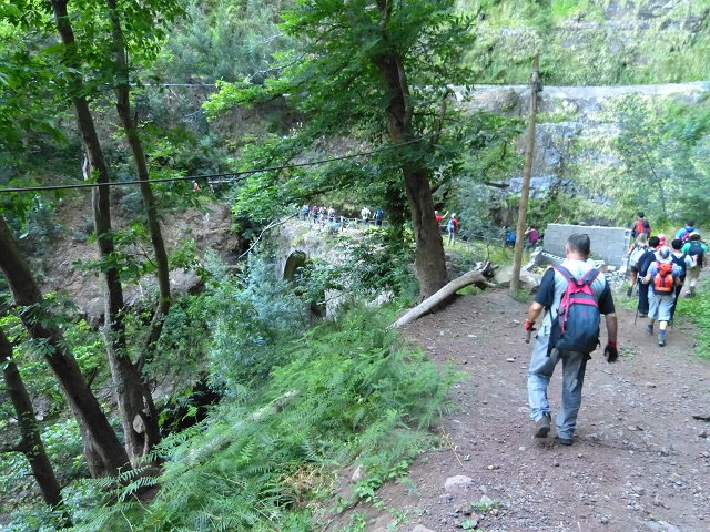 19 July 2015 Escadinhas do Menino Jesus — From Corujeira to the Centro Tematico da Agua — photo 4