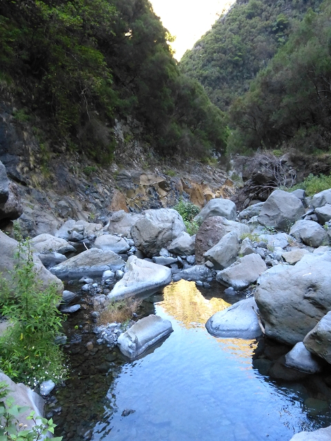 19 July 2015 Escadinhas do Menino Jesus — On in the stream bed of the Ribeira de Santa Luzia — photo 23