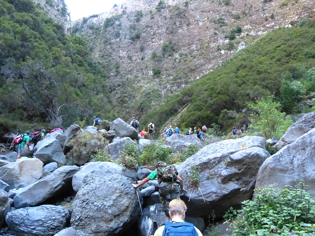 19 July 2015 Escadinhas do Menino Jesus — On in the stream bed of the Ribeira de Santa Luzia — photo 24