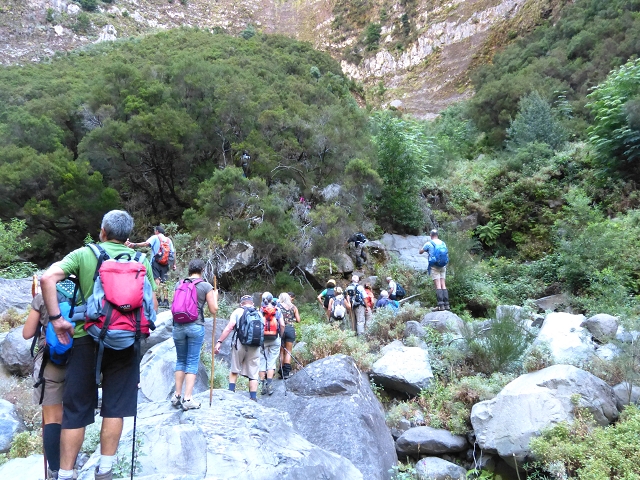 19 July 2015 Escadinhas do Menino Jesus — On in the stream bed of the Ribeira de Santa Luzia — photo 25