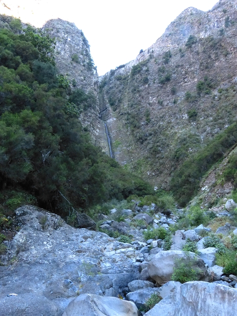 19 July 2015 Escadinhas do Menino Jesus — On in the stream bed of the Ribeira de Santa Luzia — photo 26