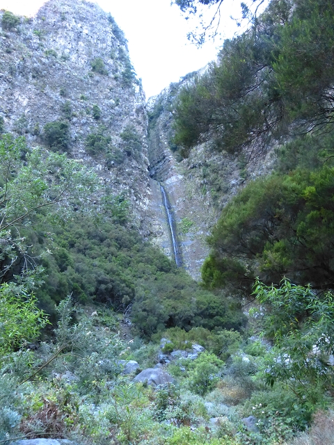 19 July 2015 Escadinhas do Menino Jesus — On in the stream bed of the Ribeira de Santa Luzia — photo 27