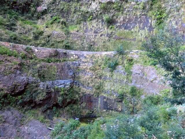 19 July 2015 Escadinhas do Menino Jesus — From Corujeira to the Centro Tematico da Agua — photo 5