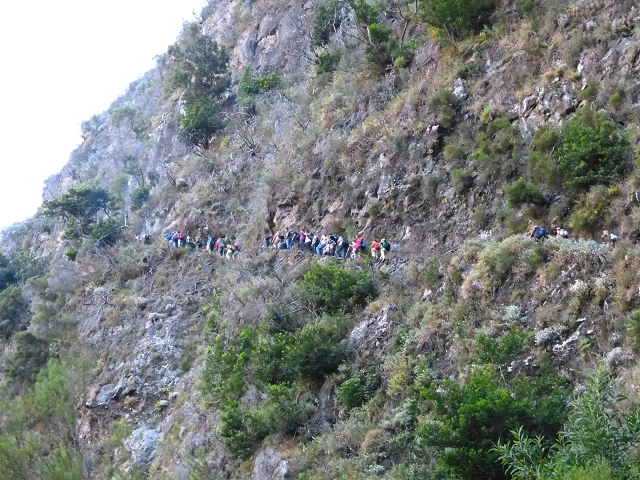 19 July 2015 Escadinhas do Menino Jesus — Escadinhas do Menino Jesus — photo 7