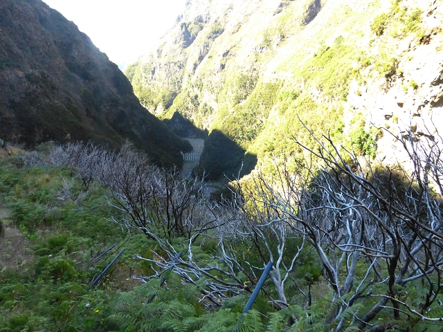 19 July 2015 Escadinhas do Menino Jesus — Climb to the Levada do Barreiro — photo 1