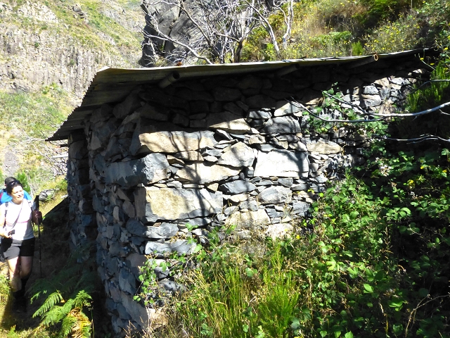 19 July 2015 Escadinhas do Menino Jesus — Climb to the Levada do Barreiro — photo 2